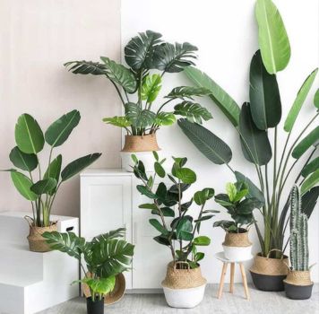 Artificial Plant Services in Maharashtra