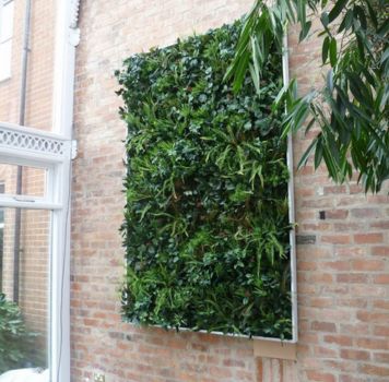 Artificial Green Wall Services in Maharashtra