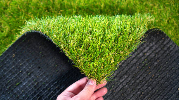 Artificial Grass & turf Services in Maharashtra