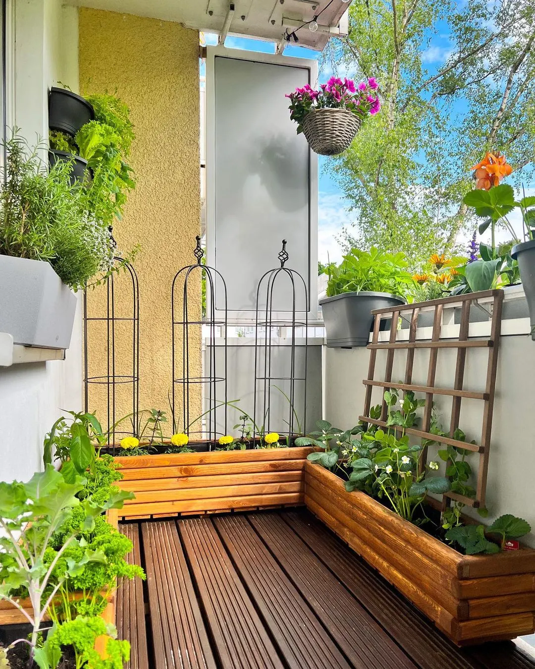 Terrace Garden Services in Maharashtra