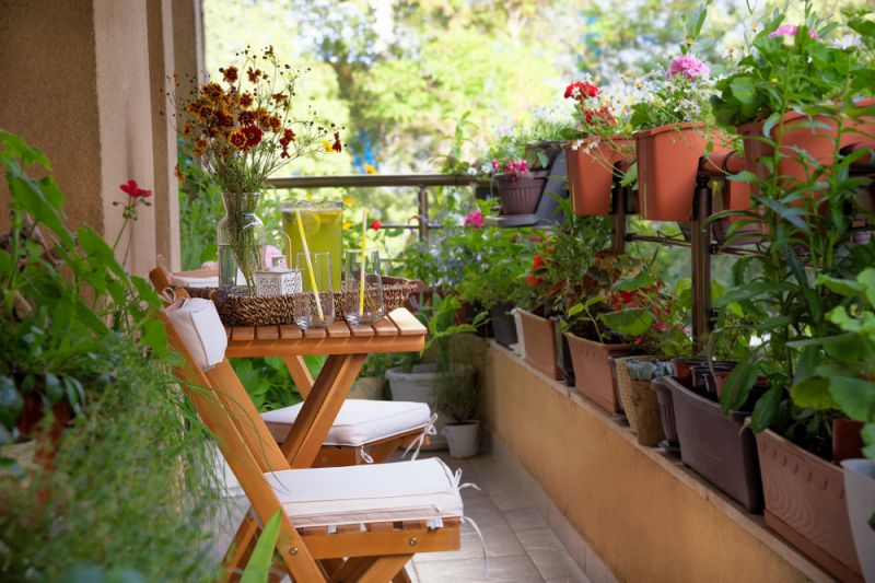 Terrace Garden Services in Maharashtra