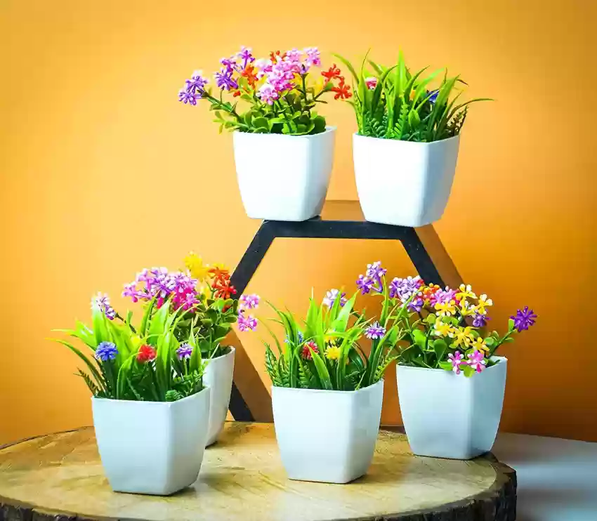 Artificial Plant Services in Maharashtra